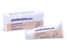 Pandermine Pies Crema 100 Ml.